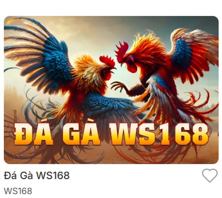 Đặt Cược Đá Gà WS168 Tại Bin88 Trực Tiếp Từ Trường Đấu Philippines Đỉnh Cao